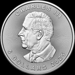 1 troy ounce Maple Leaf zilver 1