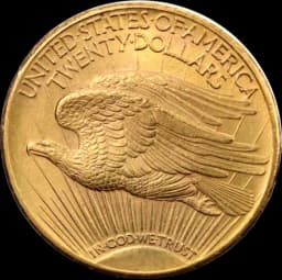 Gouden 20 dollar double eagle munt 1