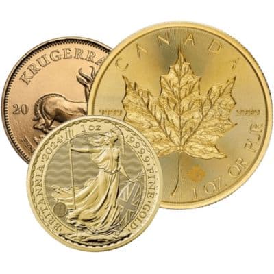Diverse 1 troy ounce gouden munt