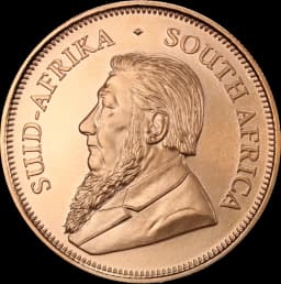 Krugerrand goud 1 troy ounce 2