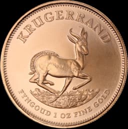 Krugerrand goud 1 troy ounce 2