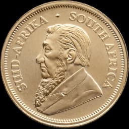 Krugerrand goud 1/2 troy ounce 1