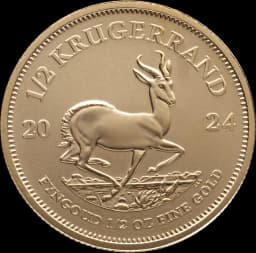 Krugerrand goud 1/2 troy ounce 2
